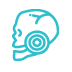 Temporomandibular Joint